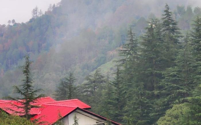 Pahadi Zayka Homestay