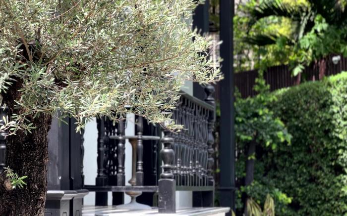 KJORN Home Chiangmai