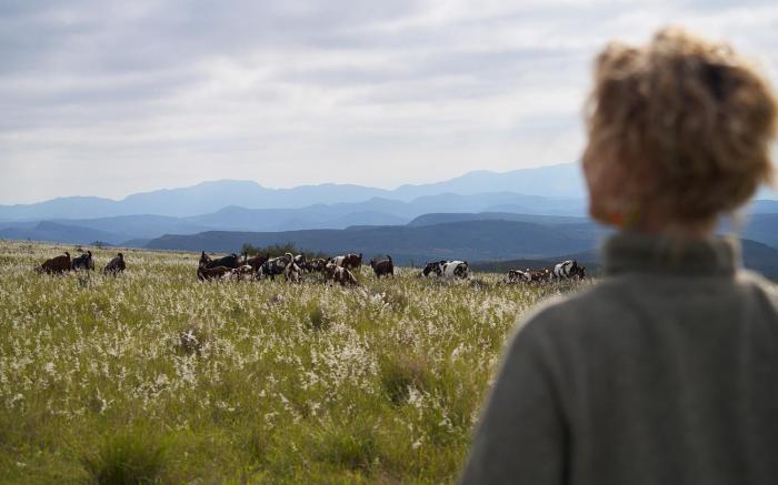 Goats Window Luxury Safari Lodge