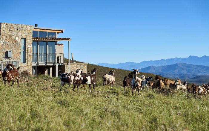Goats Window Luxury Safari Lodge