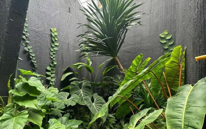 Tropical Villa -2 bedroom/ Quận 2 