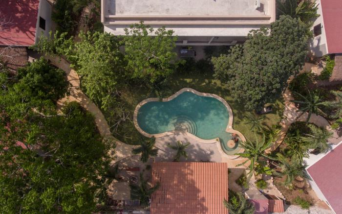 Casa Cactus Buenavista