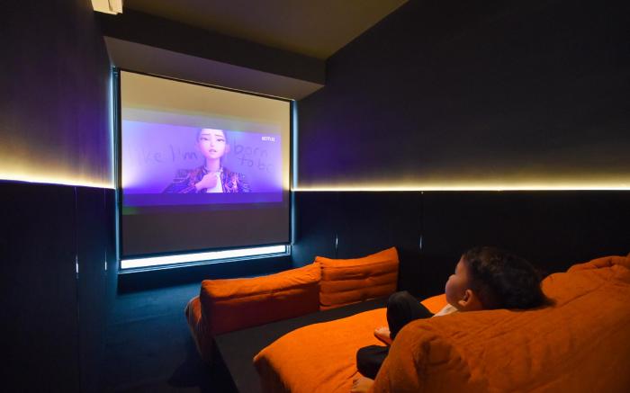 Neverland Slide Playroom Loft| Private Cinema Room