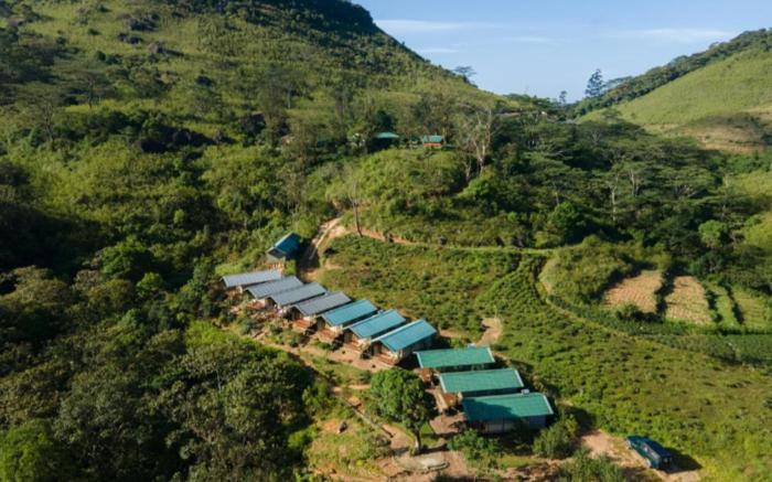 Wild Glamping Knuckles - Thema Collection