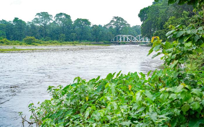 Resort Olive Village Murti