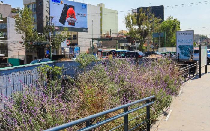 Colmena Hotel CDMX Suites Roma