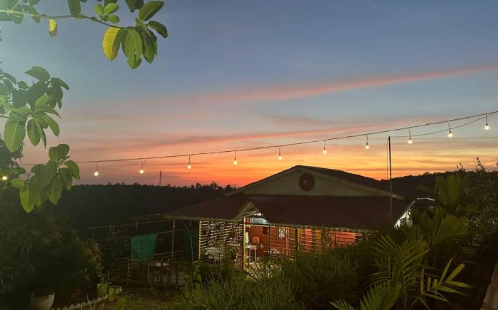 The Alphonso Mango County