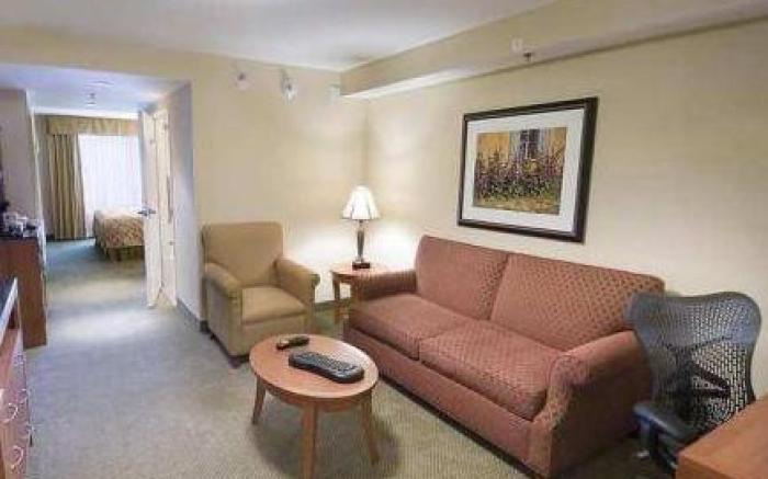 Hilton Garden Inn Houston/Galleria Area