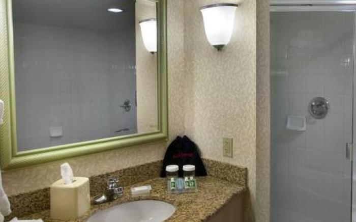 Hilton Garden Inn Detroit Downtown