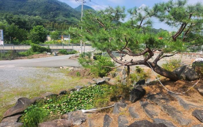Choongju Garden Arirang Pension