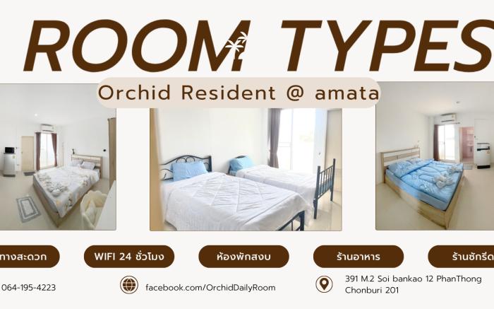Orchid Resident๑Amata