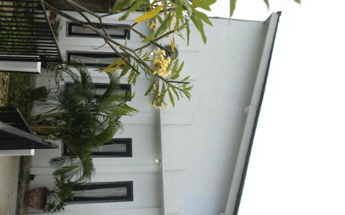 Villa kilat banyuwangi