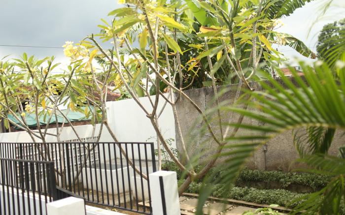 Villa kilat banyuwangi