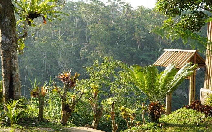 Wana ayu Jelijih Villas