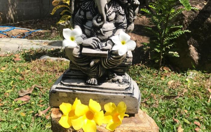 Nature paradise villa 