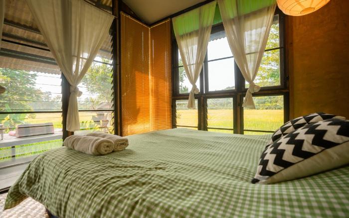 ฮังนกฮูกบ้านนา