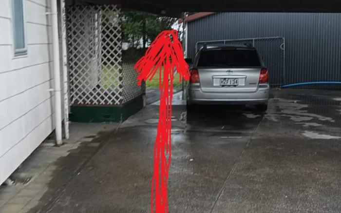 3 Double Beds including 1 Double Sofa bed, Room B