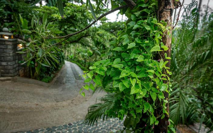 THE WILD REST NATURE RESORT