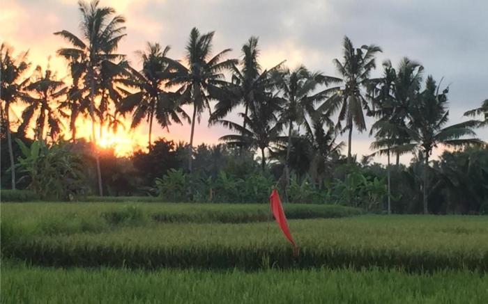 Suly Ubud Retreat & Garden Cottages