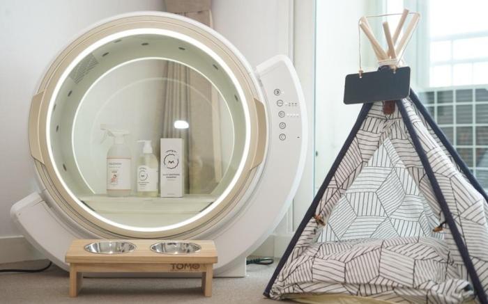 Glamdog Dog Pension Yeongheungdo Branch