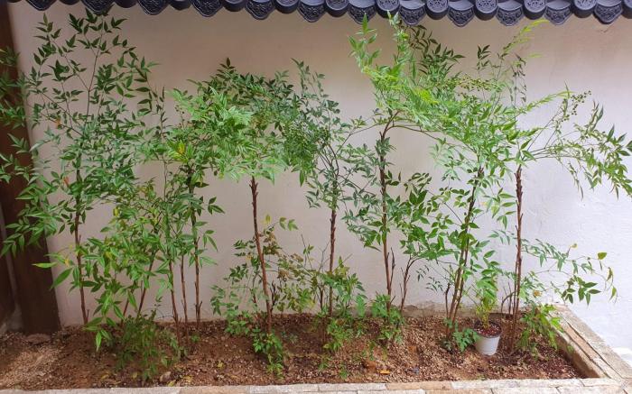 스테이부산길 Stay Busan-gil Guesthouse Seomyeon Busan