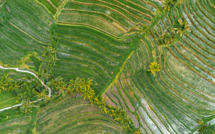 Sang Giri Mountain Tent Resort