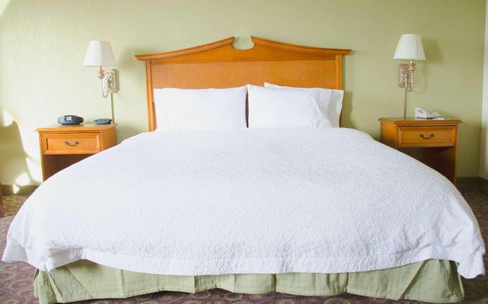 Hampton Inn & Suites College Station/US 6-East Bypass