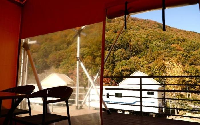 Daegu Round Hill 905