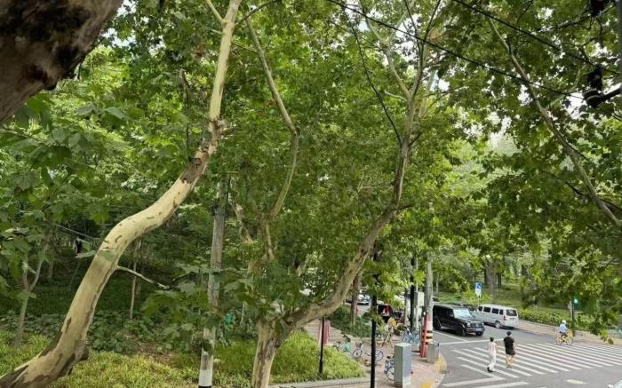 长乐路/淮海中路老上海洋房，TAXX巨鹿路158，IAPM环贸南京西路，兴业太古汇，田子坊，新天地