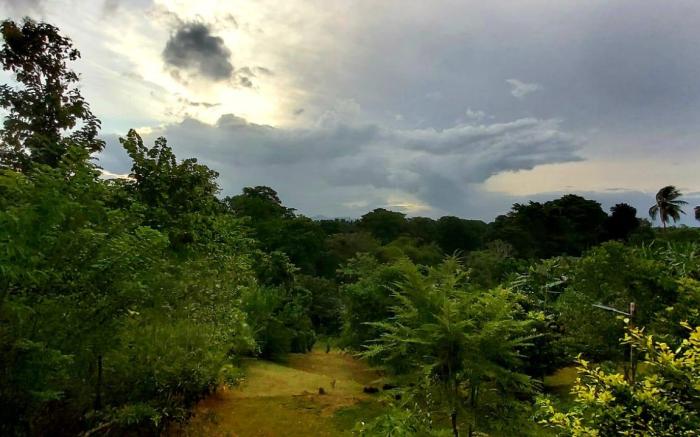 Warahana Riverside Cottage