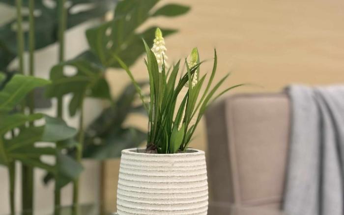 Homey Comfort @ Shore Wifi + Netflix 