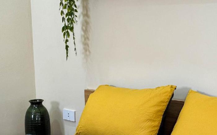 Home. Homestay - Olive Grove Room