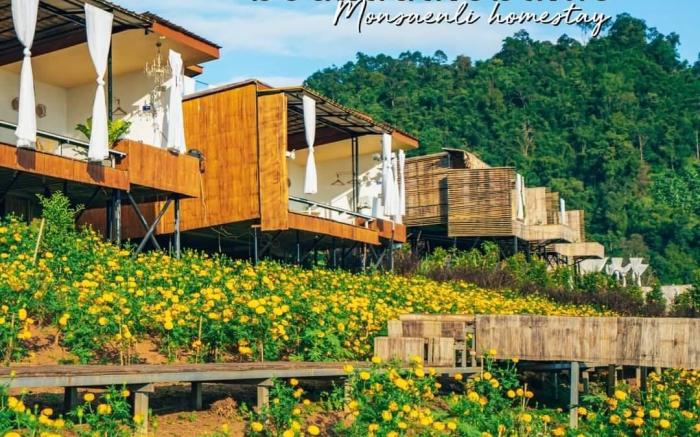 ม่อนแสนลี้โฮมสเตย์ผาปู่จอม