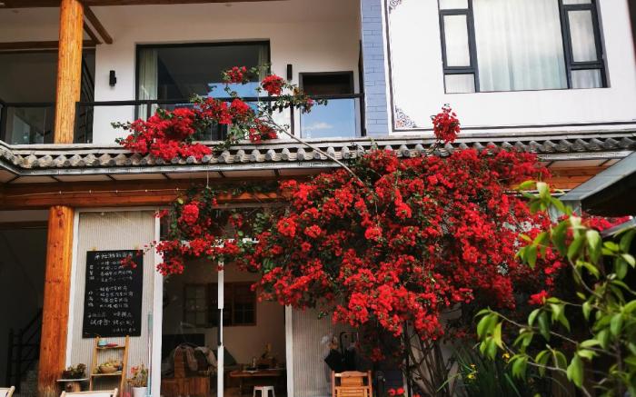 大理久久阳光精品民宿