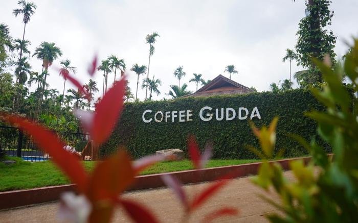 Coffee Gudda