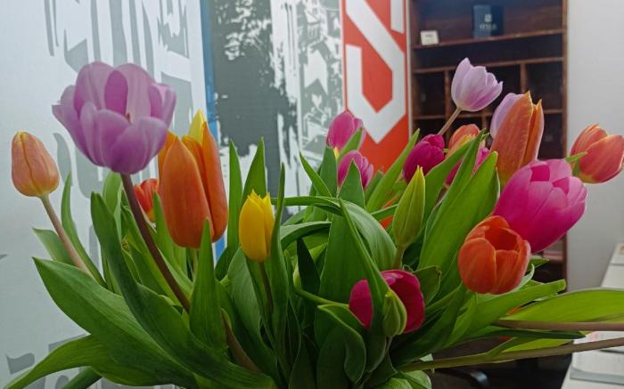 Studio Inn Centrale & Milano Urban Padel