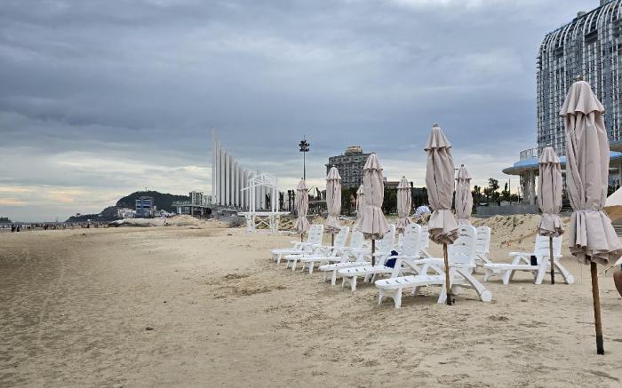 Seahorse Apartment 32.17