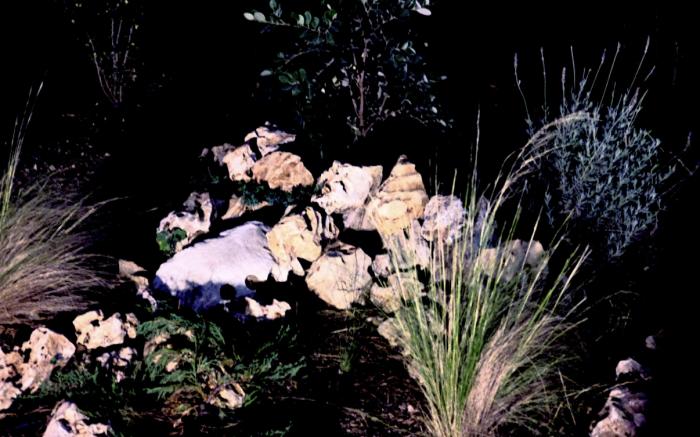 平方米1臥室獨立屋 (西區) - 有1間私人浴室