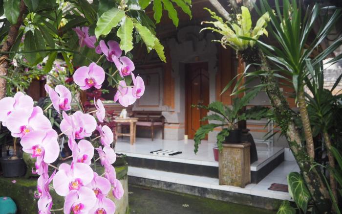 I Gusti Nyoman Oka Hostel and Homestay