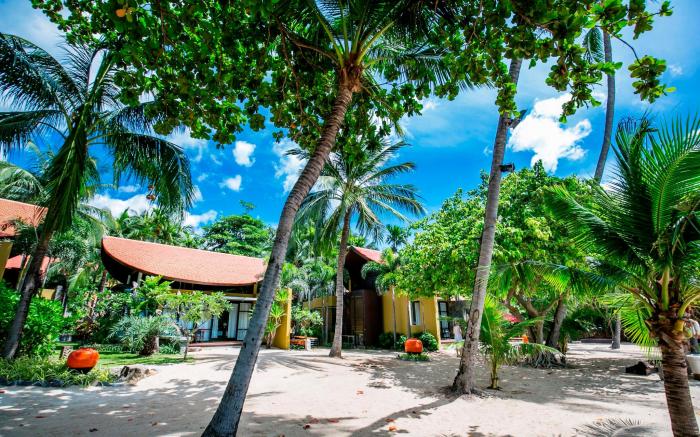 New Star Beach Resort