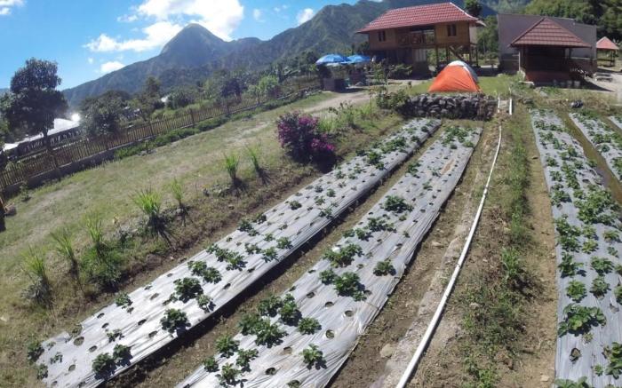 Bale Sembahulun Cottages and Tent
