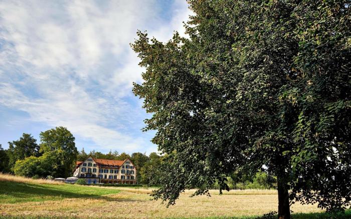 Sorell Hotel Zurichberg