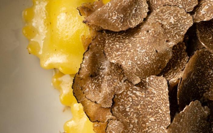 Hotel Palazzo Ripetta