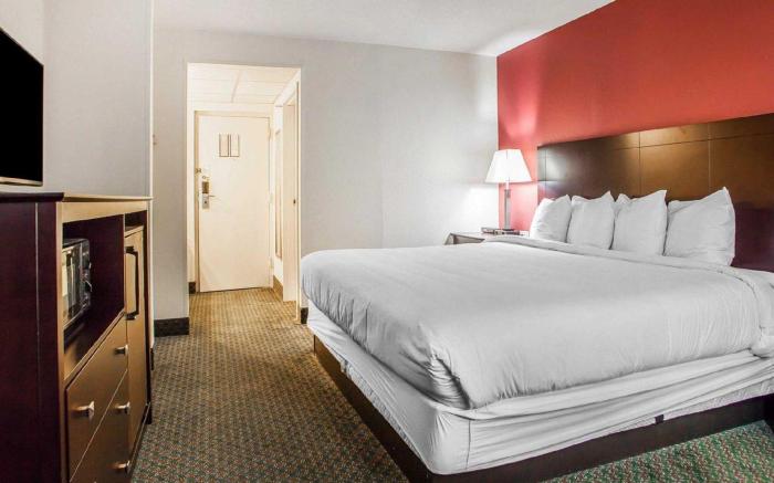 Comfort Inn & Suites Wyomissing Reading