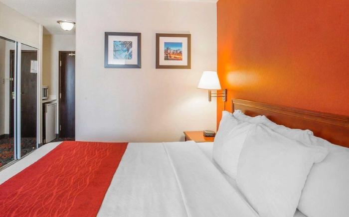 Comfort Inn & Suites University
