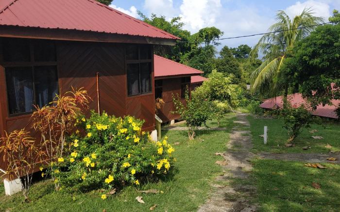 Johan Chalet