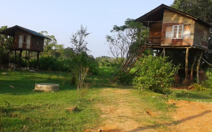 Sigiriya Forest View