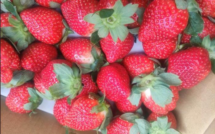 23平方米1臥室公寓 (大湖鄉) - 有1間私人浴室