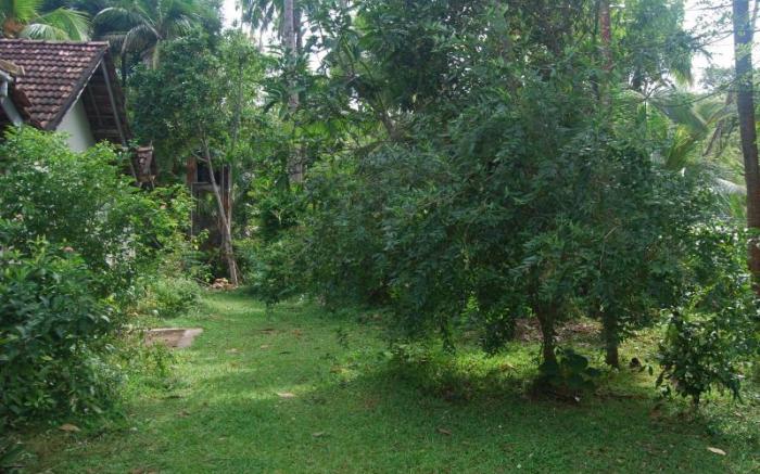 Weeragiri Home Stay