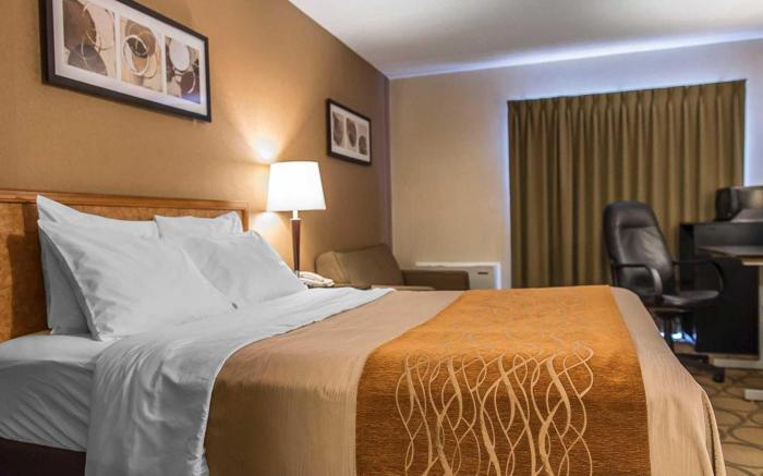 Comfort Inn Hwy. 401